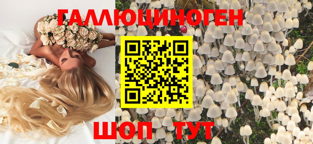 Юрга  Псилоцибиновые грибы Magic Shrooms  Вход с VPN  Галлюциногенные грибы MAGIC MUSHROOMS 